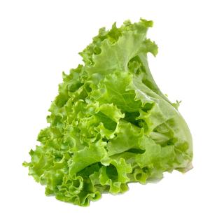 Salat Batavia grün
