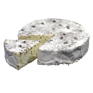 Schafsweichkäse Berta Rosm.-Wach.