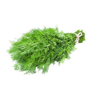 Dill