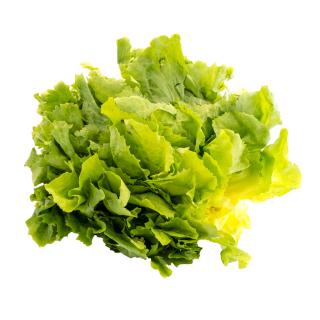 Endiviensalat