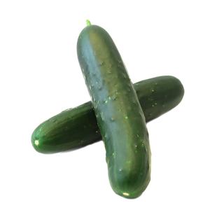 Landgurke
