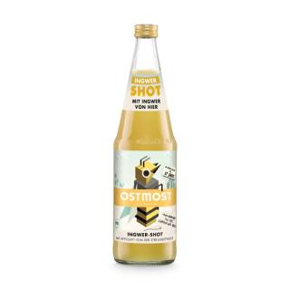 Apfel Ingwer Saft  0,7Ltr