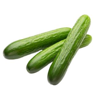 Salatgurke