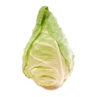 Spitzkohl