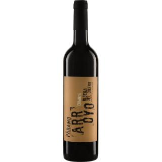 ARROYO Crianza Ribera del Duero DO 2014 Páramo
